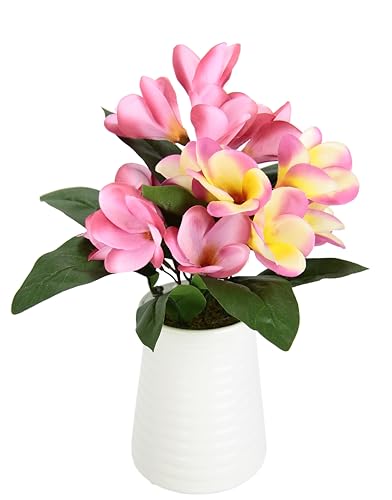 Frangipani im Topf Plumeria Blütenbusch Künstlich Wachsblume Tischdeko Mittelstück Hochzeitsdeko Kunstblumen Zimmerpflanze Kunstpflanze Blumen Unechte Deko Blütenpflanze Blumenschmuck, rosa von Flair Flower