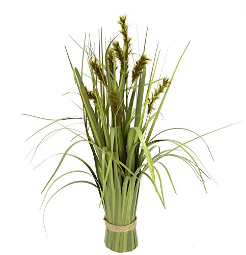 Flair Flower Grasbündel Fuchsschwanzgras Stehgras Gras Kunst Kunstgras Unechte Blumen Pflanze Grünpflanze Künstliches Ziergras Dekogras Grasarrangement Borstenhirse Panicoideae Süßgräser Setaria Flair Flower Grasbündel Fuchsschwanzgras Stehgras Gras Kunst Kunstgras Unechte Blumen Pflanze Grünpflanze Künstliches Ziergras Dekogras Grasarrangement Borstenhirse Panicoideae Süßgräser Setaria von Flair Flower