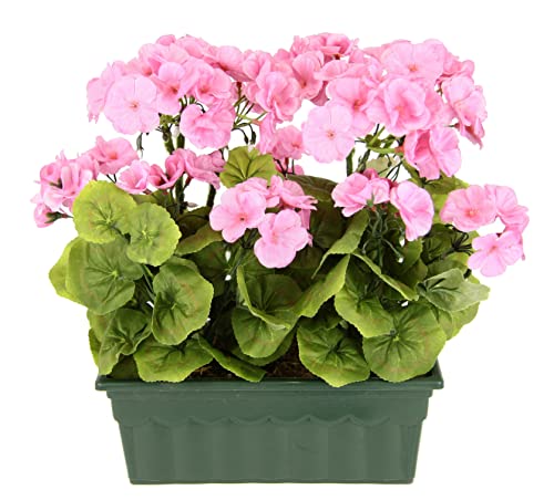 Flair Flower Künstliche Geranie im Kasten Busch Pelargonien Beetpflanze Balkon-Seiden-Kunstblume Kunstpflanze Tischdeko Dekoblumen Deko-Zimmer-Klassische Pflanze Topfblume, Rosa, 36x30x18cm(088279RS) Flair Flower Künstliche Geranie im Kasten Busch Pelargonien Beetpflanze Balkon-Seiden-Kunstblume Kunstpflanze Tischdeko Dekoblumen Deko-Zimmer-Klassische Pflanze Topfblume, Rosa, 36x30x18cm(088279RS) von Flair Flower