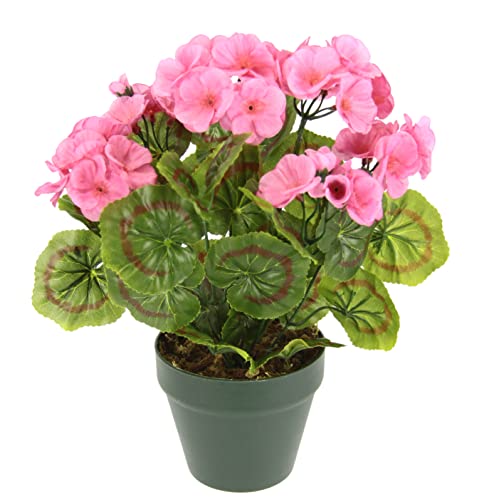 Flair Flower Künstliche Geranie im Topf Geranienbusch Pelargonien Beetpflanze Seidenblumen Kunstpflanze Kunstblume Tischdeko Dekoblumen Dekopflanze Zimmerpflanze Topfblume, 090128RS, Rosa, 28x22x22 cm Flair Flower Künstliche Geranie im Topf Geranienbusch Pelargonien Beetpflanze Seidenblumen Kunstpflanze Kunstblume Tischdeko Dekoblumen Dekopflanze Zimmerpflanze Topfblume, 090128RS, Rosa, 28x22x22 cm von Flair Flower