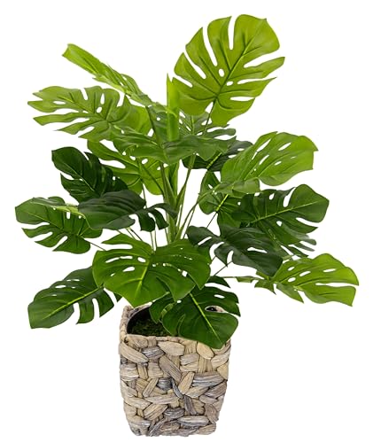 Flair Flower Künstliche Splitphilo-Pflanze mit Übertopf Monstera Deko Kunst-Pflanze Seidenblumen Seidenpflanzen Real Touch grün groß Grünpflanze Büropflanze, 044472GN, 46x35x35 cm von Flair Flower