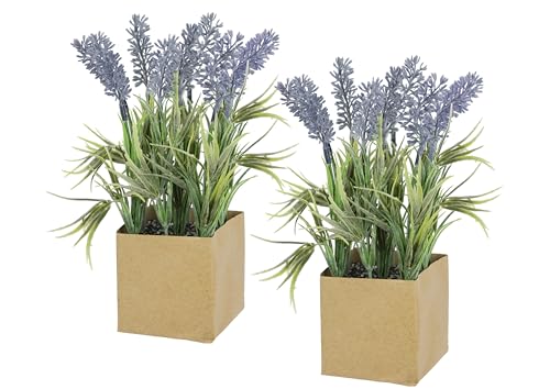 Flair Flower 2er-Set künstliche Lavendel-Pflanzen – Dekopflanzen im quadratischen Papiertopf – ca. 20 cm hoch – Kunstblumen für Zuhause, Büro & Geschenkideen 2er Set, violett Flair Flower 2er-Set künstliche Lavendel-Pflanzen – Dekopflanzen im quadratischen Papiertopf – ca. 20 cm hoch – Kunstblumen für Zuhause, Büro & Geschenkideen 2er Set, violett von Flair Flower