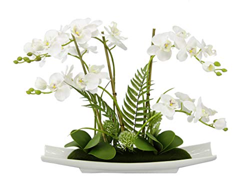 Flair Flower Kunstblume Schmetterling Orchidee in Schale aus Keramik Künstliche Blume Kunstorchidee Phalaenopsis mit Übertopf Kunstpflanze Hochzeit Deko von Flair Flower