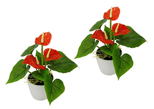 Flair Flower Mini Anthurie im Topf, 2er Set, Rot, Kunst-Blume, Flamingo, Künstliche Pflanze, Polyester, Kunststoff, 20 cm hoch, 16 cm breit von Flair Flower