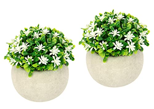 Flair Flower Mini Blütenbusch im Topf Künstlich Wachsblume Busch Tischdeko Mittelstück Plastikblumen Floristik Kunstpflanze Blumen Unechte Deko Pflanze Buchs Blumenschmuck, 020999W, Weiß, 11x12x12 cm von Flair Flower