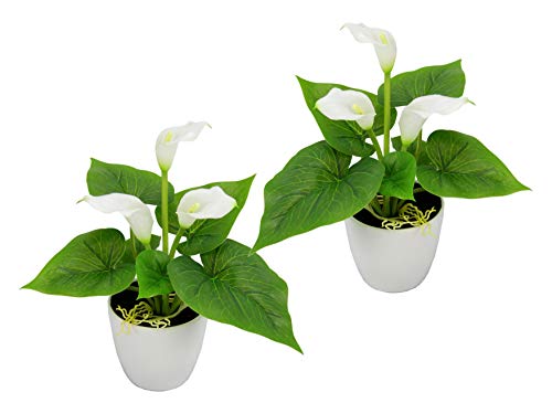 Flair Flower Mini Topf, 2er Set, Weiß, Kunst-Blume, Calla, Künstliche-Pflanze, Polyester, Kunststoff, 20 cm hoch, 16 cm breit von Flair Flower