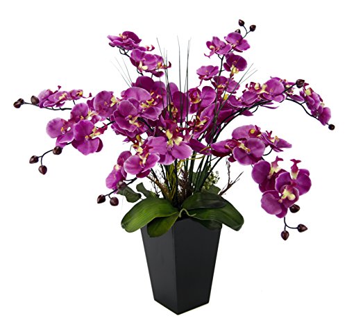 Orchidee im Topf von Flair Flower