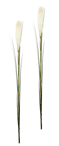 Flair Flower Pampasgras, 2er Set, Polyester, Kunststoff, Weiß, 6 x 6 x 125 cm, 2-Einheiten von Flair Flower
