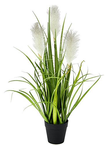 Flair Flower Pampasgras Im Topf, Polyester, Kunststoff, Weiß, 20 x 20 x 55 cm Flair Flower Pampasgras Im Topf, Polyester, Kunststoff, Weiß, 20 x 20 x 55 cm von Flair Flower