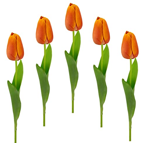 Flair Flower Real Touch Tulpen Tulpenknospen Tulpenbündel Tulpenbund Blüten Frühjahrsdeko Frühlingsdeko Künstliche Einzeltulpe Orange 67x4x4 cm Flair Flower Real Touch Tulpen Tulpenknospen Tulpenbündel Tulpenbund Blüten Frühjahrsdeko Frühlingsdeko Künstliche Einzeltulpe Orange 67x4x4 cm von Flair Flower