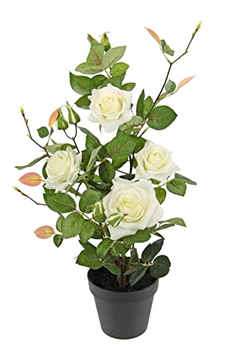 Rosenbusch im Topf Rosen Rosenstock Rosenbäumchen Kunstrosen Seidenblumen Kunstpflanzen Kunstblumen Kunstbaum Dekobaum Kunstpflanzen Pflanzen Dekopflanze Seidenpflanze Zimmerpflanze Deko Büropflanze von Flair Flower