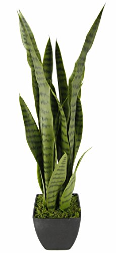 Flair Flower Sansevieria im Topf Bogenhanf Laurentii zeylanica Pflegeleichte Kunstpflanze Kunstblume Blume Zimmerpflanze künstlich Gross Kirkii Pflanze Moonshine, Grün, 75 x 15 x 15 cm, 151401GN von Flair Flower