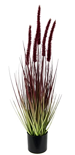 Flair Flower im Topf Gras Kunstpflanze Kunstgras Ziergras Grünpflanzen Grasbüschel Grasbündel Ufergras Grasbusch Solitärgras Herbst Deko Borstenhirse Panicoideae Süßgräser, 021112R, Rot, 65x16x16 cm Flair Flower im Topf Gras Kunstpflanze Kunstgras Ziergras Grünpflanzen Grasbüschel Grasbündel Ufergras Grasbusch Solitärgras Herbst Deko Borstenhirse Panicoideae Süßgräser, 021112R, Rot, 65x16x16 cm von Flair Flower