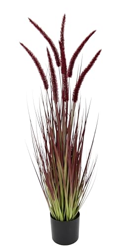 Fuchsschwanzgras im Topf Gras Kunstpflanze Kunstgras Ziergras Grünpflanzen Grasbüschel Grasbündel Ufergras Grasbusch Ziergras Solitärgras Herbst Deko Borstenhirse Panicoideae Süßgräser von Flair Flower