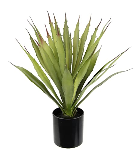 Künstliche Agave Aloe Vera im Topf Kunstpflanze Sansevieria exotische Pflanzen Grünpflanze Kunstblume Topfpflanze Zimmerpflanze Deko Terrasse Balkon Sukkulente Yucca Kalanchoe Kaktus Kakteen von Flair Flower