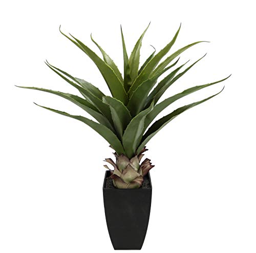 Künstliche Agave im Topf Kunstpflanze Aloe Vera Sansevieria Pflanzen Grünpflanze Kunstblume Topfpflanze Zimmerpflanze Deko Terrasse Balkon Künstliche Agave im Topf Kunstpflanze Aloe Vera Sansevieria Pflanzen Grünpflanze Kunstblume Topfpflanze Zimmerpflanze Deko Terrasse Balkon von Flair Flower