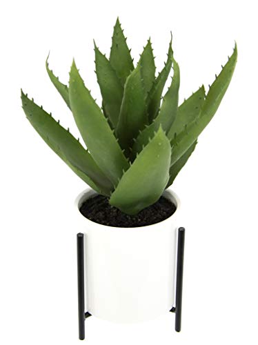 Künstliche Agave im Topf mit Gestell Sukkulentenpflanze Dickblatt Pflanze Kakteen Kaktus Aloe Vera Grünpflanze Zimmerpflanze Kunstpflanze Sansevieria Sukkulente Kalanchoe Topfpflanze Yucca Deko von Flair Flower