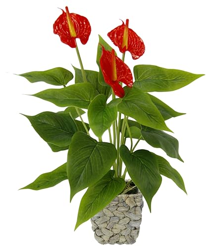 Künstliche Anthurienpflanze im Korb Anthurium Anthurie exotische Flamingoblume Flamingopflanze Flamingo Pflanze Blume rote Blüten Kunstpflanze Dekopflanze Kunstblume Deko Zimmerpflanze Lilie Herzblatt von BASEOW