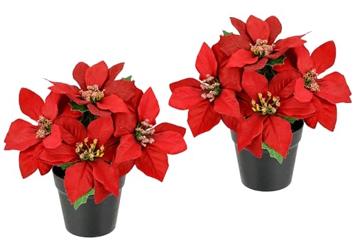 Künstliche Blume Poinsettie im Topf Weihnachtsstern Christstern Weihnachtsdeko Weihnachtsblume Blumenschmuck Kunstblume Weihnachtliche Dekoblume Zweig X'Mas Strauß Geschenk Deko Adventsstern, 2er Set von Flair Flower