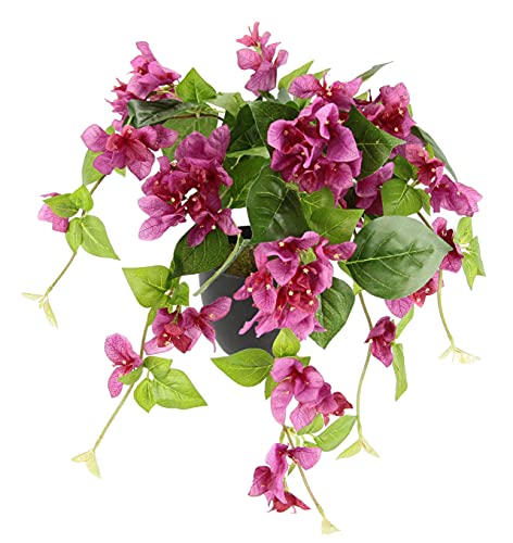 Künstliche Bougainvillea mit roten Blüten im Topf Drillingsblume Blumen Pflanzen Kunstpflanzen Kunstbäume Dekopflanzen Kunstblumen Deko Hängend Hängeblumen Rankende Seidenblume Hängeampel Girlande von Flair Flower