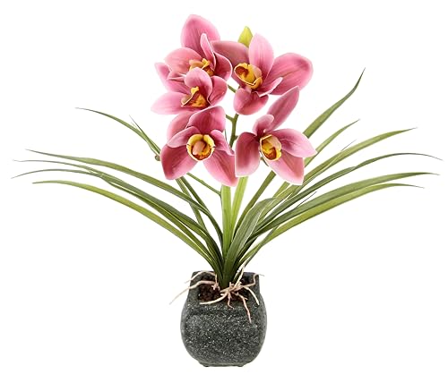 Künstliche Cymbidium-Orchidee 40cm mit Blätter und Luftwurzeln im Topf aus Keramik Kunstorchidee Orchidee Phalaenopsis mit Übertopf Kunstpflanze Hochzeit Deko Seidenblume Real Blüte, rosa Künstliche Cymbidium-Orchidee 40cm mit Blätter und Luftwurzeln im Topf aus Keramik Kunstorchidee Orchidee Phalaenopsis mit Übertopf Kunstpflanze Hochzeit Deko Seidenblume Real Blüte, rosa von Flair Flower