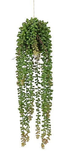 Künstliche Hängepflanze Senecio Perlenschnur auf Mooskugel Realistische Sukkulente mit Hängevorrichtung 51cm Deko Hängepflanze für Innen- & Außenbereich, pflegeleicht & langlebig Künstliche Hängepflanze Senecio Perlenschnur auf Mooskugel Realistische Sukkulente mit Hängevorrichtung 51cm Deko Hängepflanze für Innen- & Außenbereich, pflegeleicht & langlebig von Flair Flower