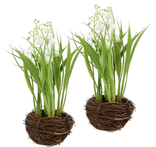 Künstliche Maiglöckchen im Nest 20cm 2er Set Schneeglöckchen Gras Kunstblumen Frühlingsdeko Frühlingsblumen Frühjahrsblumen Blumendeko Blumen Deko Osterdeko Osterblumen Seidenblumen Osternest Kranz Künstliche Maiglöckchen im Nest 20cm 2er Set Schneeglöckchen Gras Kunstblumen Frühlingsdeko Frühlingsblumen Frühjahrsblumen Blumendeko Blumen Deko Osterdeko Osterblumen Seidenblumen Osternest Kranz von Flair Flower