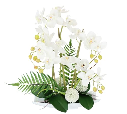 Flair Flower Künstliche Orchidee in Keramik-Schale Kunstblume Blume Kunstorchidee Phalaenopsis mit Übertopf Kunstpflanze Hochzeit Deko Schmetterling Dekoblume Seidenblume Blumenarrangements, weiß von Flair Flower