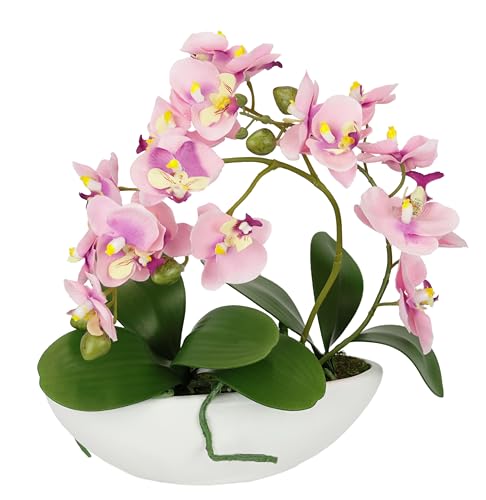 Künstliche Orchidee in Schale 27cm Kunstblume Blume Kunstorchidee Phalaenopsis mit Übertopf Kunstpflanze Hochzeit Deko Schmetterling Phalaenopsis Dekoblume Seidenblume Blumenarrangements, rosa Künstliche Orchidee in Schale 27cm Kunstblume Blume Kunstorchidee Phalaenopsis mit Übertopf Kunstpflanze Hochzeit Deko Schmetterling Phalaenopsis Dekoblume Seidenblume Blumenarrangements, rosa von Flair Flower