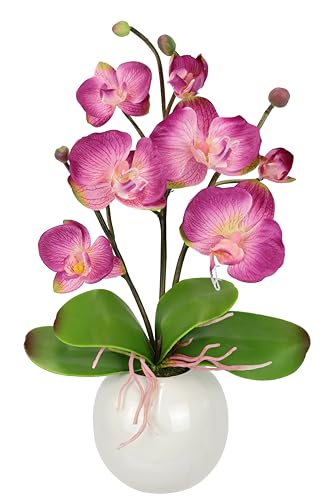 Künstliche Orchidee in Schale Kunstblume Blume Kunstorchidee Phalaenopsis mit Übertopf Kunstpflanze Hochzeit Deko Schmetterling Phalaenopsis Dekoblume Seidenblume Blumenarrangements dunkelrosa 35cm von Flair Flower