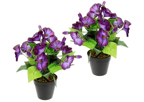 Künstliche Petunien Zierpflanze Glockenblume Kunstpflanze klein Zimmerpflanze Blüten Blumen Kunstblumen Seidenblumen Unechte Deko Gefälschte Topfpflanze Topfblüher Grabgestecke Kunststoffpflanze Künstliche Petunien Zierpflanze Glockenblume Kunstpflanze klein Zimmerpflanze Blüten Blumen Kunstblumen Seidenblumen Unechte Deko Gefälschte Topfpflanze Topfblüher Grabgestecke Kunststoffpflanze von Flair Flower
