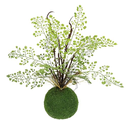 Künstliche Pflanze Frauenhaar auf Moos-Kugel Farn Farnbusch Waldfarn Kunstpflanze Zimmerpflanze Büropflanze Grünpflanze Dekopflanze Deko-Kugel Kunstmoos Busch Sträucher Dekofarn Farnpflanze von Flair Flower