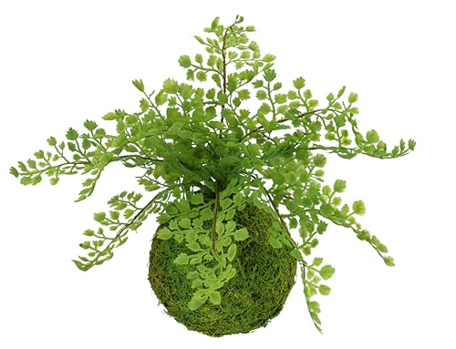 Grün | Kunstpflanzen und weitere Zimmer- & Kunstpflanzen. Günstig online  kaufen bei Möbel &