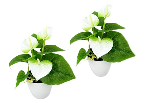 Künstliche Pflanze Mini Anthurium-Pflanze im Topf Anthurie exotische Flamingo Blume Flamingoblume Flamingopflanze Pflanze rote Blüten Kunstpflanze Dekopflanzen Kunstblumen Deko Blumen 2er Set Künstliche Pflanze Mini Anthurium-Pflanze im Topf Anthurie exotische Flamingo Blume Flamingoblume Flamingopflanze Pflanze rote Blüten Kunstpflanze Dekopflanzen Kunstblumen Deko Blumen 2er Set von Flair Flower