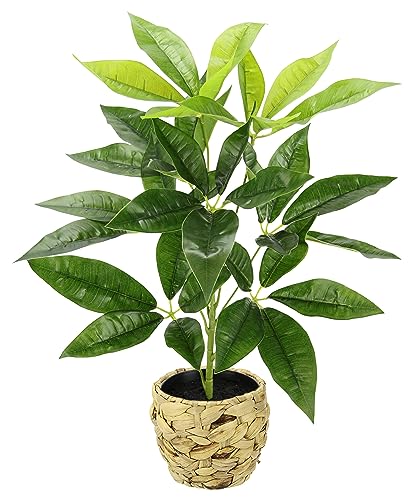 Künstliche Pflanze Schefflera mit Übertopf Blattpflanze Seidenblumen Real Touch Kunstpflanzen Zimmerpflanzen Dekopflanze Grünpflanze Seidenpflanze Kunstblume Strahlenaralie Büropflanze Deko 48cm Künstliche Pflanze Schefflera mit Übertopf Blattpflanze Seidenblumen Real Touch Kunstpflanzen Zimmerpflanzen Dekopflanze Grünpflanze Seidenpflanze Kunstblume Strahlenaralie Büropflanze Deko 48cm von Flair Flower