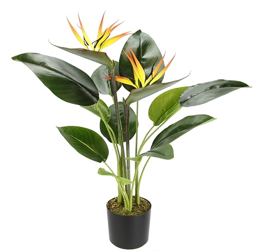 Künstliche Pflanze Strelitzie im Topf Papageienblume mit Blüte Blühende Kunstpflanze Blumen Kunstblumen Kübelpflanze Seidenblumen Kunstblume exotische blühende Zimmerpflanze Geschenk Büropflanze Künstliche Pflanze Strelitzie im Topf Papageienblume mit Blüte Blühende Kunstpflanze Blumen Kunstblumen Kübelpflanze Seidenblumen Kunstblume exotische blühende Zimmerpflanze Geschenk Büropflanze von Flair Flower