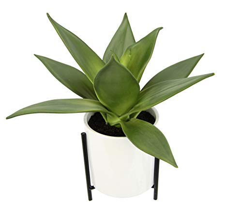 Künstliche Sukkulente im Topf mit Gestell Sukkulentenpflanze Dickblatt Pflanze Kakteen Kaktus Aloe Vera Grünpflanze Zimmerpflanze Kunstpflanze Sansevieria Kunstblume Topfpflanze Yucca Deko Kalanchoe von Flair Flower