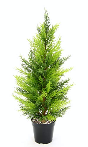 Künstliche Zypresse im Topf Thuja Lebensbaum Kunstpflanze Real Touch Pflanzen Dekopflanze immergrün Kunstbaum Baum Dekobaum Topfpflanze Nadelbaum Terrassendeko Koniferen Hochzeit Deko Spalier Zierbaum von Flair Flower