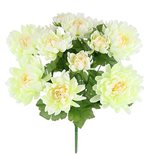 Künstlicher Chrysanthemen Strauß 35 cm Kunstblumenstrauß Chrysantheme Herbstblumen Herbstdeko Seidenblume Kunstblumen Dekoblumen Bouquet Mittelstück Blumenstrauß Hochzeit Haus Tischdeko, creme Künstlicher Chrysanthemen Strauß 35 cm Kunstblumenstrauß Chrysantheme Herbstblumen Herbstdeko Seidenblume Kunstblumen Dekoblumen Bouquet Mittelstück Blumenstrauß Hochzeit Haus Tischdeko, creme von Flair Flower