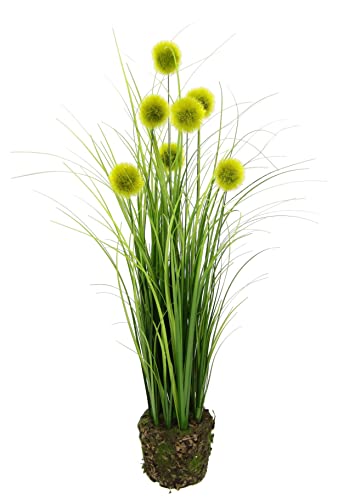 Künstlicher Grasbusch Knopfgras im Erdtopf Busch Kunstpflanze Dekogras Kunstgras Pflanze Ziergras Gras Grasbüschel Deko Gräser Frühjahrsdekoration Grünpflanze Solitärgras Dekopflanze Zimmerpflanze Künstlicher Grasbusch Knopfgras im Erdtopf Busch Kunstpflanze Dekogras Kunstgras Pflanze Ziergras Gras Grasbüschel Deko Gräser Frühjahrsdekoration Grünpflanze Solitärgras Dekopflanze Zimmerpflanze von Flair Flower