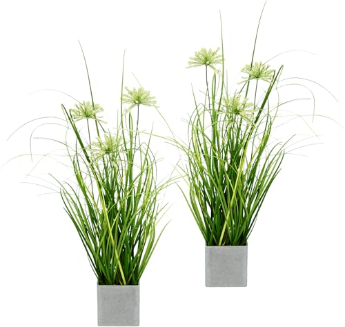 Künstlicher Grasbusch mit Blüten im Topf 2er Set Kunstgras Dekogras Gräser Kunstpflanze Grünpflanze Pflanze Ziergras Stehgras Sträucher Kunstblume Balkon Busch Grasbüschel Zimmerpflanze Lauchpflanze Künstlicher Grasbusch mit Blüten im Topf 2er Set Kunstgras Dekogras Gräser Kunstpflanze Grünpflanze Pflanze Ziergras Stehgras Sträucher Kunstblume Balkon Busch Grasbüschel Zimmerpflanze Lauchpflanze von Flair Flower