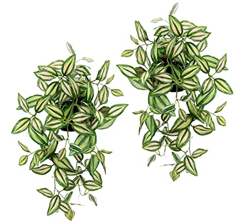 Künstlicher Tradescantiahänger mit Topf, 2er Set Kunstpflanze Tradescantia hängend Deko Hängepflanze Rankende Girlande Pflanzenampel Ampel Grünpflanze Zimmerpflanze Kletterpflanze Efeuranke Efeu von Flair Flower