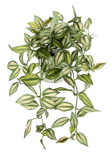 Künstlicher Tradescantiahänger mit Übertopf Kunstpflanze hängend Deko Hängepflanze Rankende Girlande Pflanzenampel Ampel Grünpflanze Zimmerpflanze Kletterpflanze Efeuranke Efeu, 42x26x22cm von Flair Flower