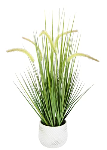Künstliches Fuchsschwanzgras mit Übertopf Gras Kunstpflanze Kunstgras Ziergras Grünpflanzen Dekogras Grasbüschel Ziergras Solitärgras Deko Borstenhirse Süßgräser Federborstengras Lampenputzergras Künstliches Fuchsschwanzgras mit Übertopf Gras Kunstpflanze Kunstgras Ziergras Grünpflanzen Dekogras Grasbüschel Ziergras Solitärgras Deko Borstenhirse Süßgräser Federborstengras Lampenputzergras von Flair Flower