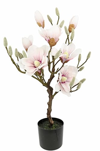 Kunstbaum Magnolie im Topf Magnolienbaum künstlich Kunstpflanze Kunstblume Blume Zimmerpflanze Topfblumen Kleiner Deko Magnolienzweig Blüten Frühjahrsblumen Frühjahrsdeko Frühjahrsblüher Pflanze von Flair Flower