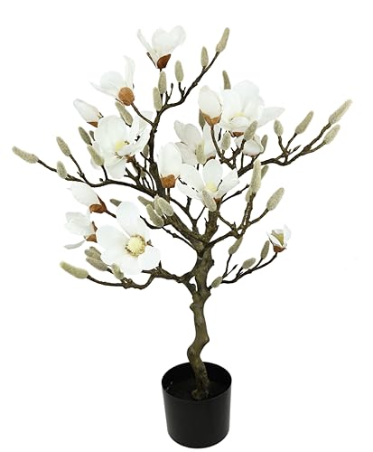 Kunstbaum Magnolie im Topf Magnolienbaum künstlich Kunstpflanze Kunstblume Blume Zimmerpflanze Topfblumen Kleiner Deko Magnolienzweig Blüten Frühjahrsblumen Frühjahrsdeko Frühjahrsblüher Pflanze von Flair Flower