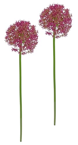 Kunstblume Allium Zierlauch Kugelblume Zweig Einzelblume Stielblume Floristik künstliche Blumen Beiwerk für künstliche Blumen-Sträuße und Bouquets Blumengestecke Dekoblume Blumenlauch, 2er Set von Flair Flower