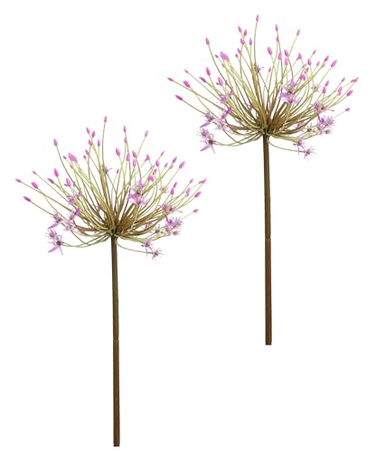 Kunstblume Allium Zierlauch Kugelblume Zweig Einzelblume Stielblume Floristik künstliche Blumen Beiwerk für künstliche Blumen-Sträuße und Bouquets Blumengestecke Dekoblume Blumenlauch, 2er Set Kunstblume Allium Zierlauch Kugelblume Zweig Einzelblume Stielblume Floristik künstliche Blumen Beiwerk für künstliche Blumen-Sträuße und Bouquets Blumengestecke Dekoblume Blumenlauch, 2er Set von Flair Flower