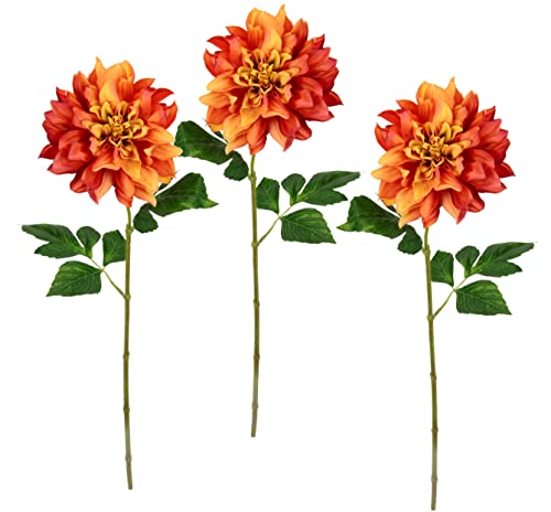 Flair Flower Kunstblume Dahlie Seidenblumen Floristik Einzelblume Stielblume Einzelzweig einzelner Stiel Dekoblume Blumendeko Herbstzweig Herbstliche Blumen Herbstblume, Orange, 62x18x10 cm, 021116OR Flair Flower Kunstblume Dahlie Seidenblumen Floristik Einzelblume Stielblume Einzelzweig einzelner Stiel Dekoblume Blumendeko Herbstzweig Herbstliche Blumen Herbstblume, Orange, 62x18x10 cm, 021116OR von Flair Flower