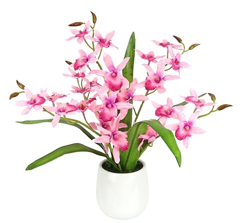 Kunstblume Orchidee Dendrobium 38cm mit Blätter im Übertopf Künstliche Blume Kunstorchidee künstliche Phalaenopsis wie echt Orchideenzweige Kunstpflanze Pflanze Hochzeit Deko Seidenblume Blüte, rosa Kunstblume Orchidee Dendrobium 38cm mit Blätter im Übertopf Künstliche Blume Kunstorchidee künstliche Phalaenopsis wie echt Orchideenzweige Kunstpflanze Pflanze Hochzeit Deko Seidenblume Blüte, rosa von Flair Flower